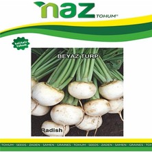 Naz Tohum Beyaz Turp Tohumu 25 gr