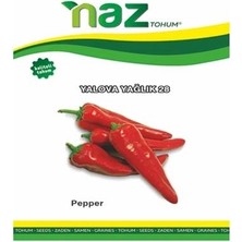 Naz Tohum Yalova Yağlık Kırmızı Biber Tohumu 10 gr