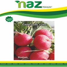Naz Tohum Kırmızı Iri Turp Royal 25 gr