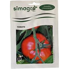 Simagro Marmande Domates Tohumu