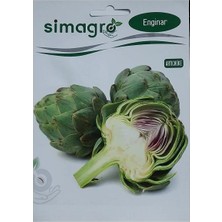Simagro Enginar Tohumu