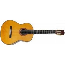 C70 Klasik Gitar (Taşıma Kılıfı Hediye)