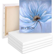 Boyama Için Tuval 5'li Set, 20X20 Cm, %100 Pamuk, Akrilik, Sulu ve Yağlı Boya Için Çerçeveli Tuval Seti
