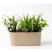 Yapay Sukulent Bitki Saksısı – Modern Masaüstü Yapay Bitki Aranjmanı, Dekoratif Plastik Saksı ile Ev, Ofis ve Raf Dekoru (16 x 7 Cm)