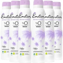 Detox Floral Kadın Alüminyumsuz Vegan Deodorant 6X200 ml