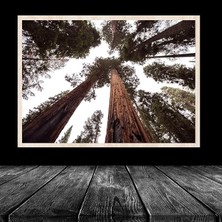 Naturel Krem Poster Resim Puzzle 48X68 cm 1000 Parça Çerçevesi Pvcli Postersiz Resimsiz Çerçeve