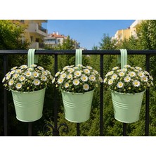 Balkon Saksı Seti, 3 Adet, Metal, Açık Yeşil 1,5lt