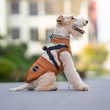 Pati Nuva Kürk Yakalı Tasmalı Su Geçirmez Kışlık Köpek Montu Turuncu