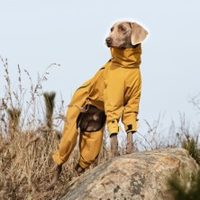 Pati Nuva Göğüs Tasmalı Köpek Tulumu Sarı Xl