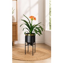 Metal Saksı Siyah Gold Detaylı Dekoratif Çiçeklik 41X21CM