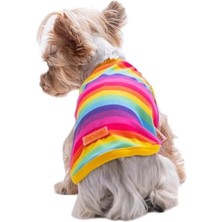26829 Rainbow Tişört