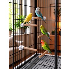 Bird Wooden Toys 5'li Ahşap Kuş Tüneği Seti 12 cm Klipsli Muhabbet Kuşu Kanarya Kafes Tüneği