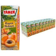 Astraltech Tamek Kayısı Nektarı 200 ml (27 Adet)