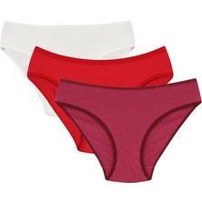 Mestore Moda Çizgi Kadın 3'lü Külot 40248