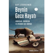 Metis Yayınları Beynin Gece Hayatı