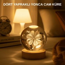 Str Store USB Bağlantılı Yonca Bitkili Cam Küre Ahşap Altlıklı Dekoratif Lamba