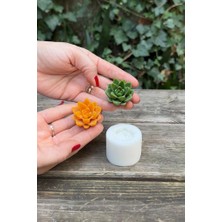 Kawin Rufus Concept Agavoides Sukulent Mum Kalıbı (Silikon)