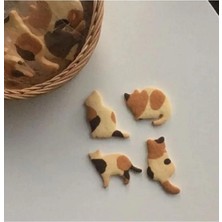 Kawin Rapithwin Kedi Kurabiye Kalıbı Seti (4 Parça), Tek Ebat