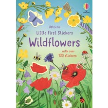 Str Store Little First Stickers Wildflowers