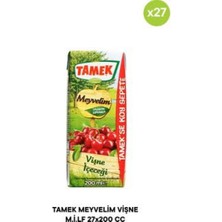 Dolozena Tamek Vişne Nektarı 200 ml (27 Adet)