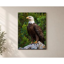 Çetin Kardeşler Kartal Baykuş Kaya ve Duvar Dekoru Ahşap Mdf Baskı Tablo Mdf Tablo