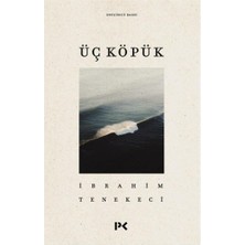 Profil Kitap Üç Köpük