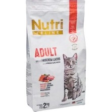 Nutri Feline Adult Salmon Somonlu Yetişkin Kedi Maması 2 kg