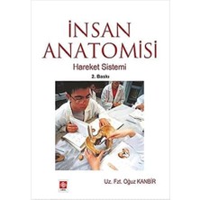 Str Store Insan Anatomisi - Hareket Sistemi