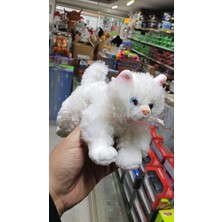 Bengi Store Oyuncak Peluş Sevimli Kar Beyaz Renkli Gözlü Kedi 22 cm