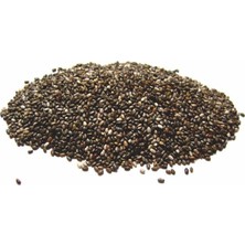 Gupguru Chia Tohumu 150 G