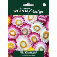 Genta Kağıt Ölümsüz Çiçeği Tohumu