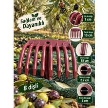 Bimsan Zeytin Tarağı 8 Dişli / 10 Adet