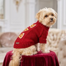 Lady Fify Kedi ve Köpek Için Pizzalı Kırmızı Kazak