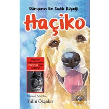 Akıllı Zebra Dünyanın En Sadık Köpeği Haçiko