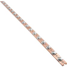 Çetsan Kalıp Çetsan Nötr Topraklama Barası 15X1.5MM 31 Pabuç Çetsan- Eş Potansiyel