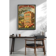 Vintage Meyve Bahçesi Elma Armut Çerçeveli Mdf Tablo Poster Mutfak Duvar Dekoru Hediye
