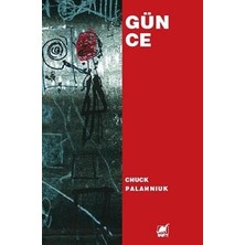 Ayrıntı Yayınları Günce