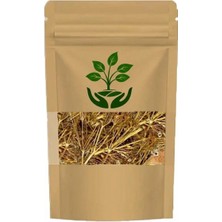 Tan Organik Markalı Melek Otu (Angelica Archangelica) 100GR