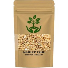 Tan Organik Markalı Mahlep Tane 225 gr