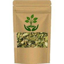 Tan Organik Markalı Maya Otu 75GR