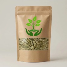 Tan Organik Markalı Yulaf Samanı Yeşil Kurutulmuş (Avena ) 500GR