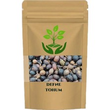 Tan Organik Markalı Defne Tohumu 500GR