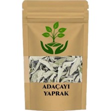 Tan Organik Markalı Adaçayı 100GR