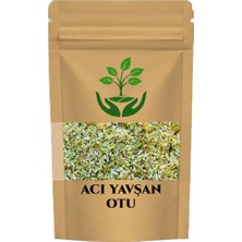 Tan Organik Markalı Acı Yavşan Otu 90GR