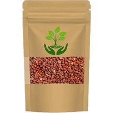 Tan Organik Markalı Ispanak Tohumu 25GR