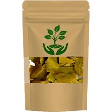 Tan Organik Markalı Ginko Biloba Yaprak 90GR