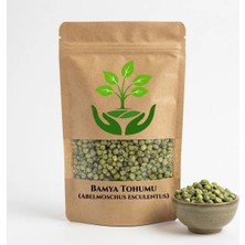 Tan Organik Markalı Bamya (Abelmoschus Esculentus) Tohumu 1 kg