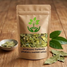 Tan Organik Markalı Avakado Yaprağı Paket 100GR