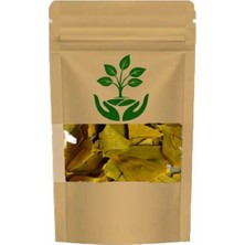 Tan Organik Markalı Ginkgo Biloba Yaprağı (Mabet Ağacı) (Ginkgo Biloba) 1kg