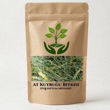 Tan Organik Markalı At Kuyruğu (Kırkkilit Otu) Equisetum Arvense 500GR